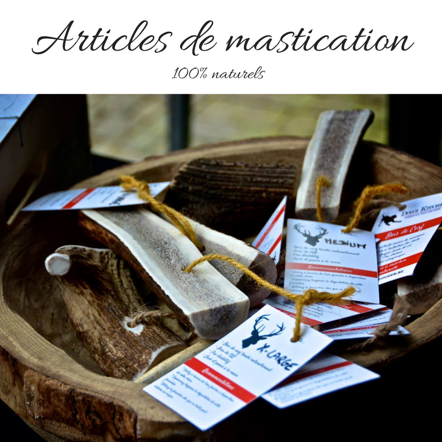 Articles de mastication