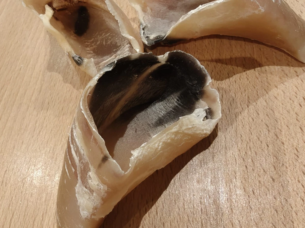 Sabot de veau naturels